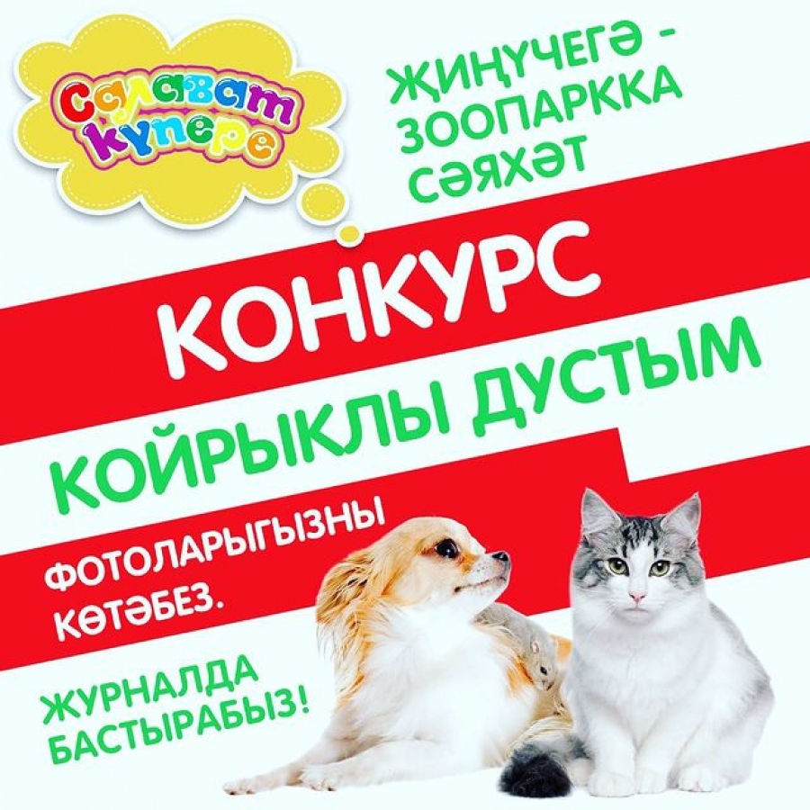 «Койрыклы дустым» бәйгесе нигезләмәсе